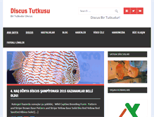 Tablet Screenshot of discustutkusu.com